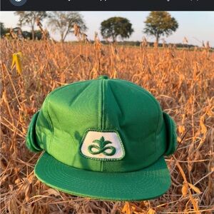 Vintage Pioneer Cap Green Seed Corn Hat Fur lined Ear Flaps NWT RARE USA Farm